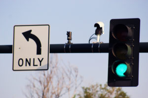 Street light, signs and cameras.